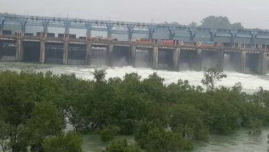 Photo of 22 फीट बढ़ा भाखड़ा का जलस्तर: पिछले साल से फिर भी नीचे, तीन राज्यों-चंडीगढ़ में गहरा सकता है जल संकट