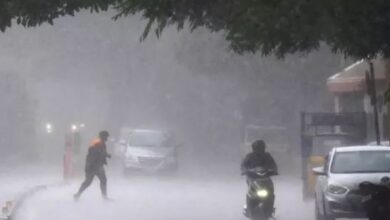 Photo of पंजाब में आज आंधी-तूफान का ‘येलो अलर्ट’…