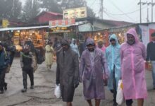 Photo of केदारनाथ और बदरीनाथ धाम में कोहरा, बारिश से बढ़ी ठंड