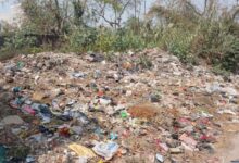 Photo of बारिश में कूड़े से महामारी का खतरा: सफाई कर्मचारियों की हड़ताल पर हाईकोर्ट सख्त