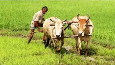 Photo of हरियाणा में 1.40 लाख एकड़ जमीन को जलभराव से मिलेगी मुक्ति