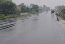 Photo of हरियाणा में सुस्त पड़ा मानसून: 15 जिलों में हल्की बारिश