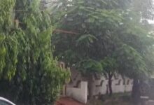 Photo of पंजाब में चार दिन भारी बारिश का अलर्ट: जालंधर-अमृतसर में सुबह झमाझम