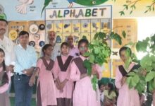 Photo of यूपी : बेसिक व माध्यमिक शिक्षा विभाग लगाएंगे 23.43 लाख पौधे