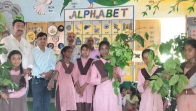Photo of यूपी : बेसिक व माध्यमिक शिक्षा विभाग लगाएंगे 23.43 लाख पौधे