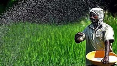 Photo of Farmers के लिए बड़ी खुशखबरी: अब मोबाइल ऐप से करें खाद की डिजिटल बुकिंग