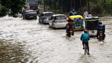 Photo of बारिश से देशभर में हाहाकार: असम में बाढ़ से मरने वालों का आंकड़ा 98 पहुंचा