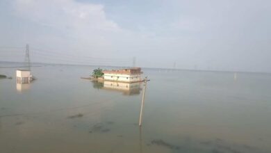 Photo of गंगा के बैकवाटर ने मचाई तबाही, नालंदा में 5 फीट पानी में डूबी 200 बीघे धान की फसल