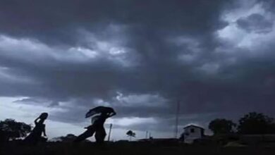 Photo of हरियाणा में 14-15 अक्टूबर को ओलावृष्टि-तूफान की चेतावनी
