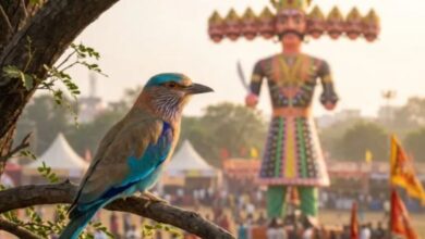 Photo of दशहरे पर ‘नीलकंठ’ पक्षी का दिखना क्यों माना जाता है शुभ?