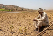 Photo of खरीफ के बाद अब रबी की फसलों पर मंडराया संकट: अलनीनो का डबल अटैक