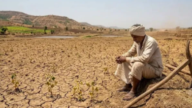 Photo of खरीफ के बाद अब रबी की फसलों पर मंडराया संकट: अलनीनो का डबल अटैक